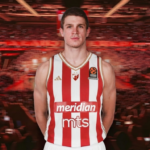 Nikola Đurišić i Zvezda: Racionalna investicija ili nepotreban rizik?